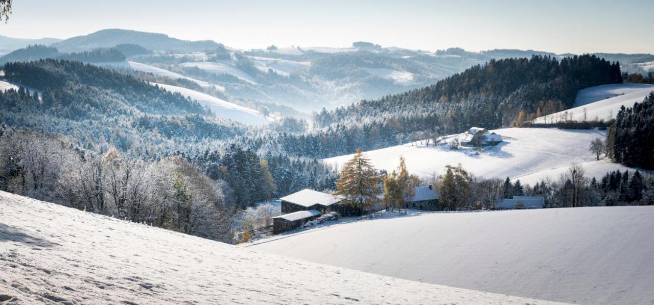 Vitalzeit Hotel Weber Bad Schönau Extérieur photo